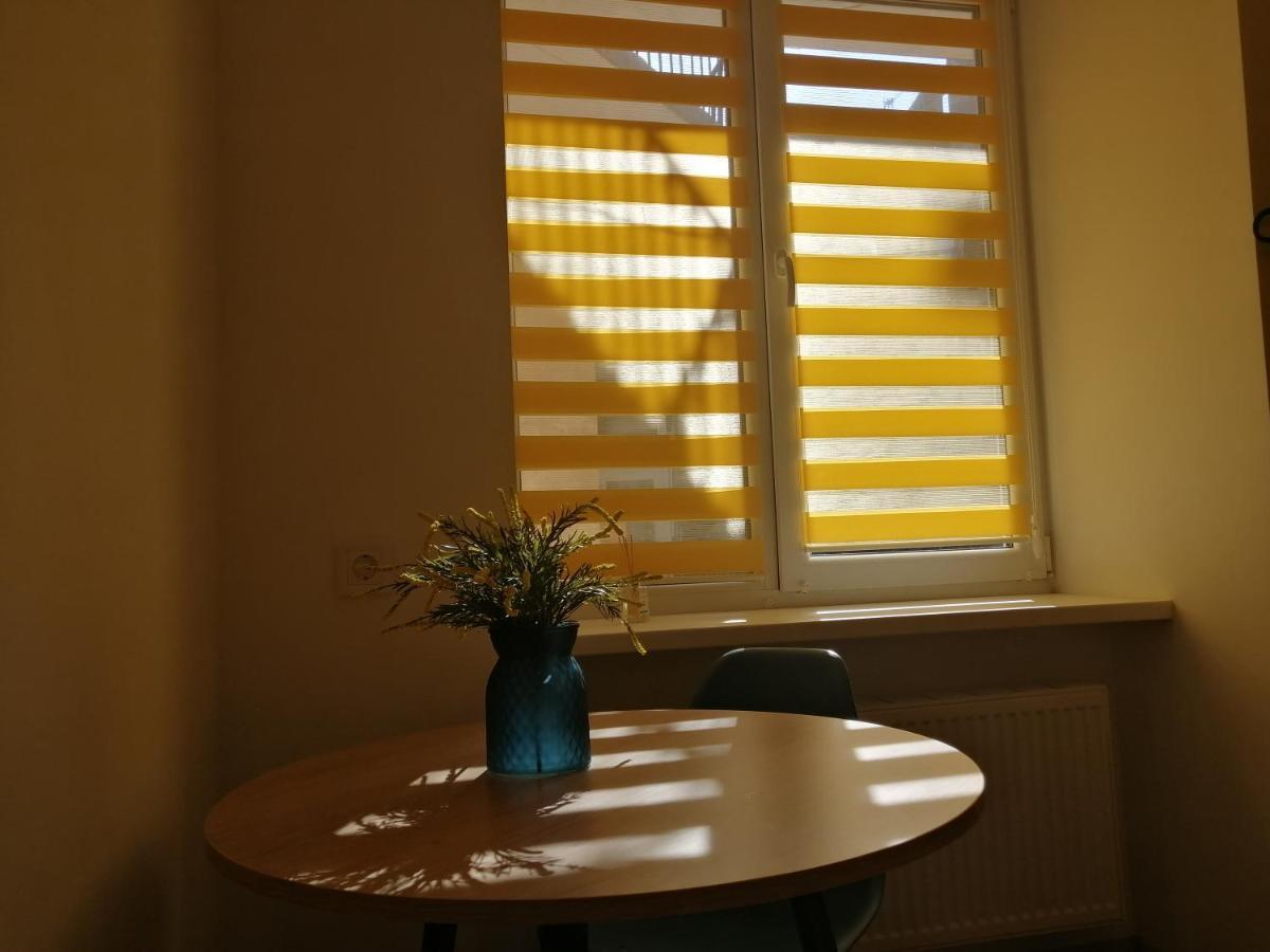 Style And Smart Apartment Lviv Bagian luar foto